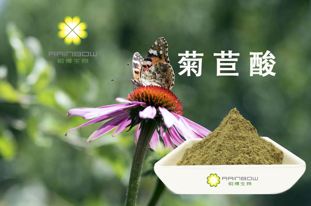 紫錐菊提取物